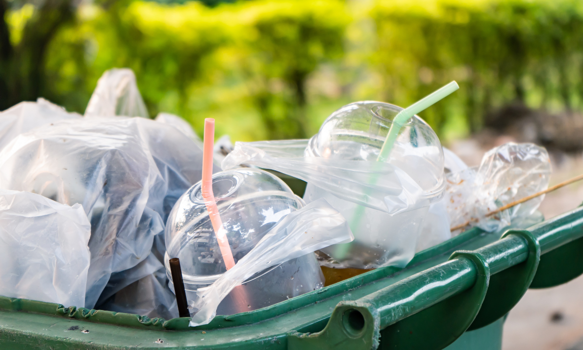 Plastic Ban 2023 Introduction
