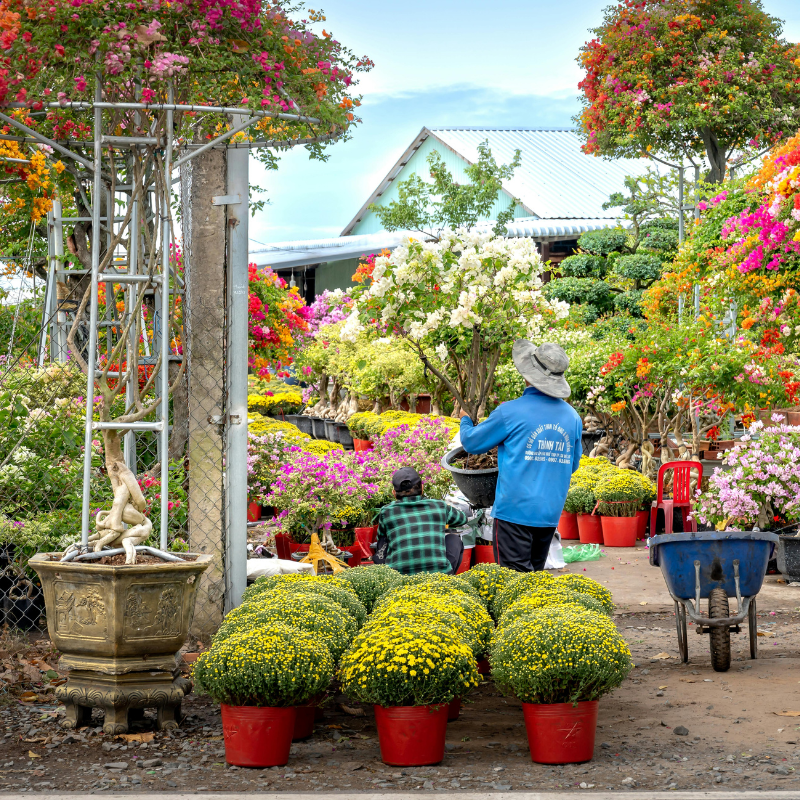 Garden Centres