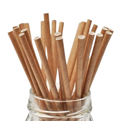 Paper Sip Straws 200x6mm (Pack of 250) | Various Colours